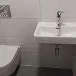Sedmidvory *