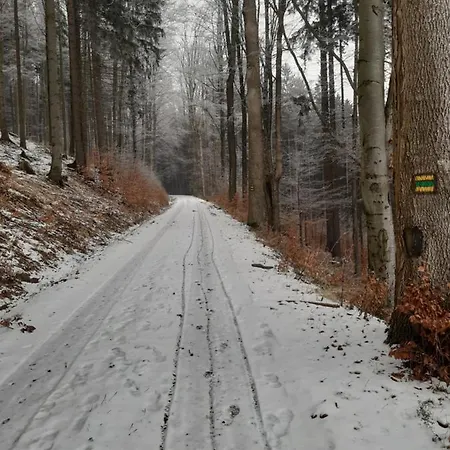 בית נופש Sedmidvory