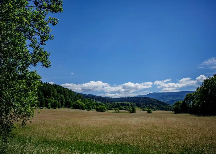 Sedmidvory Vernířovice